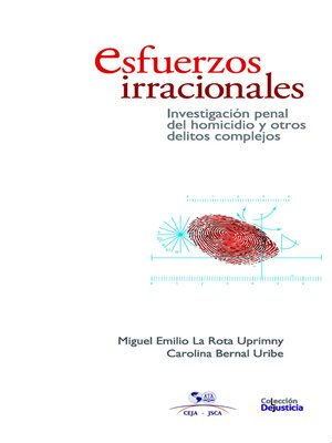 cover image of Esfuerzos irracionales